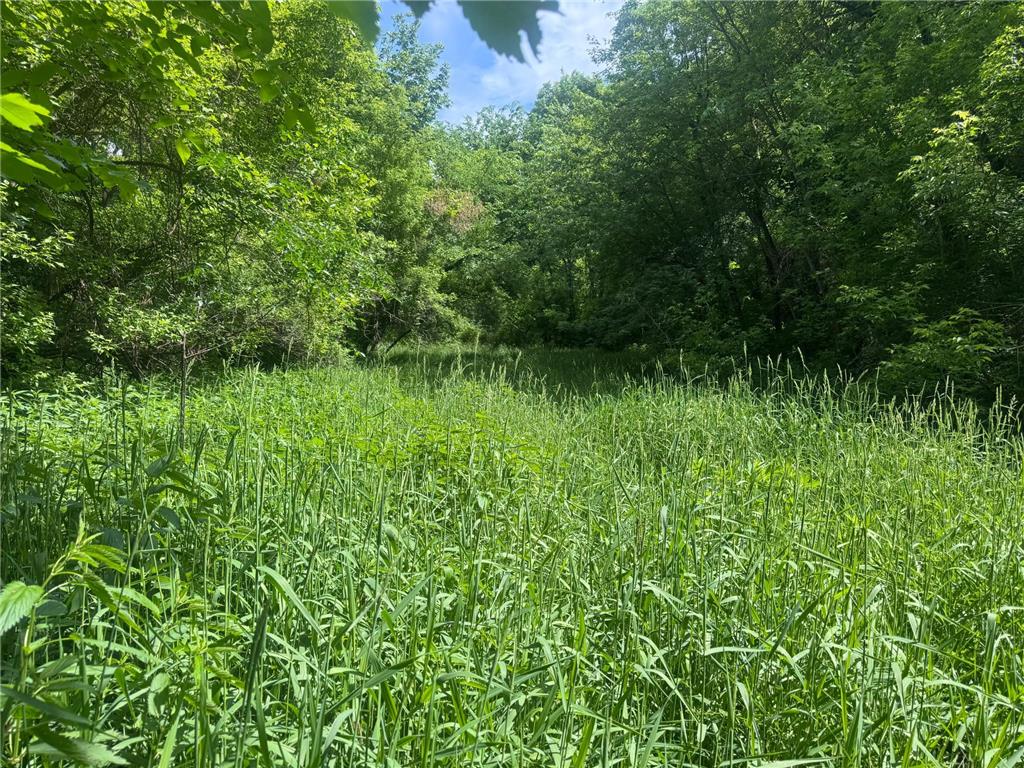 0 County Rd JJ Arcadia WI 54612 7086769 image6