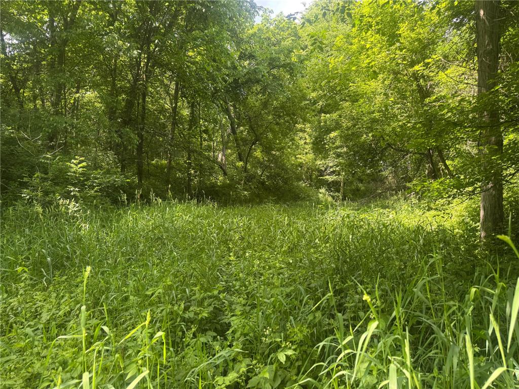 0 County Rd JJ Arcadia WI 54612 7086769 image7