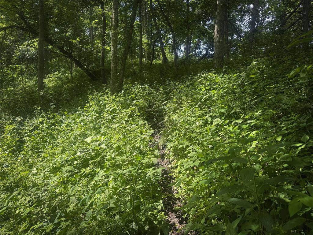 0 County Rd JJ Arcadia WI 54612 7086769 image8