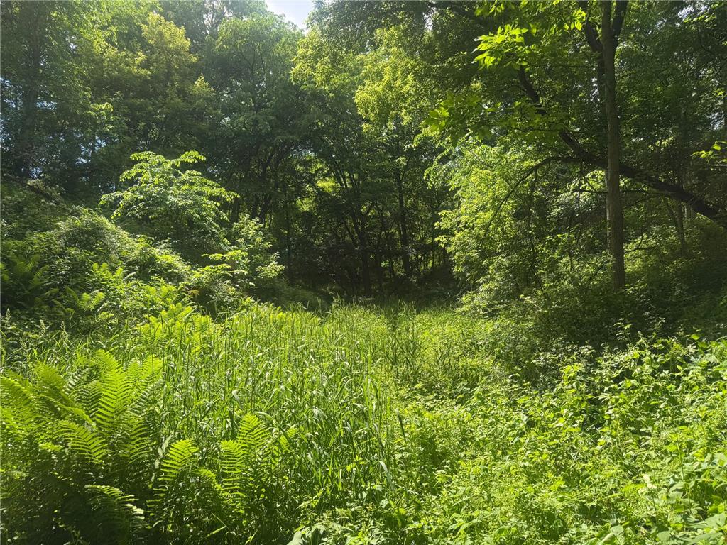 0 County Rd JJ Arcadia WI 54612 7086769 image9