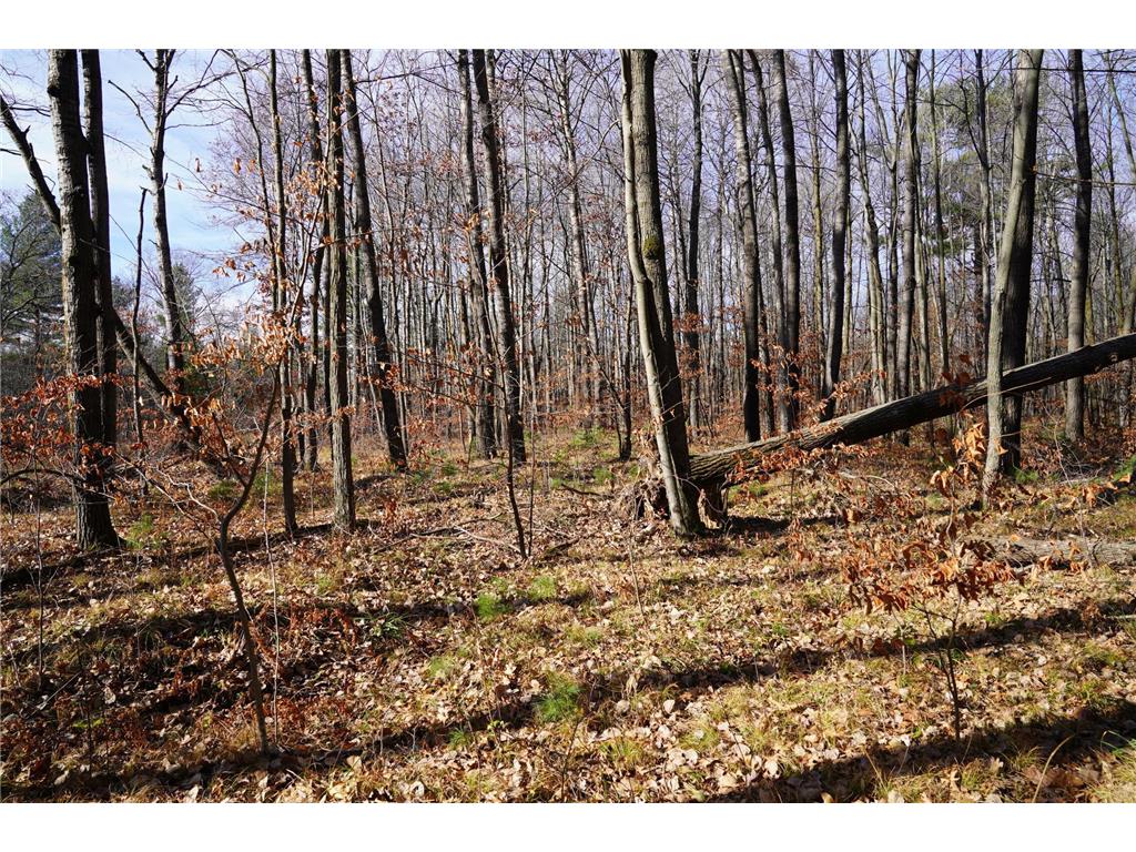 0 County Road B Dewey Twp WI 54871 6305222 image1