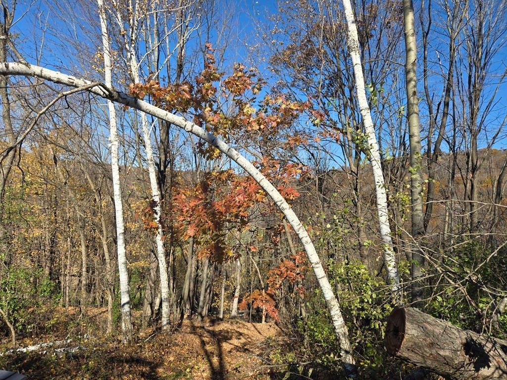 0 County Road KK Modena WI 54610 6814849 image15