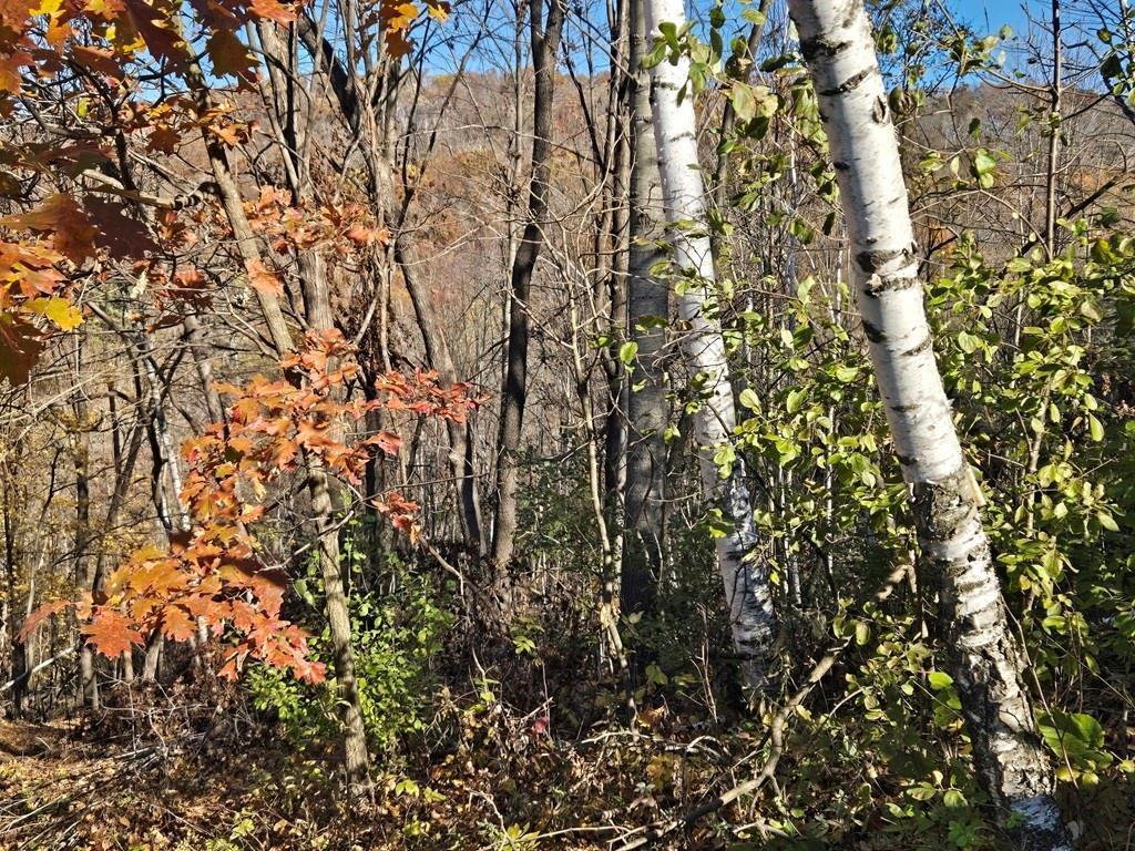 0 County Road KK Modena WI 54610 6814849 image16