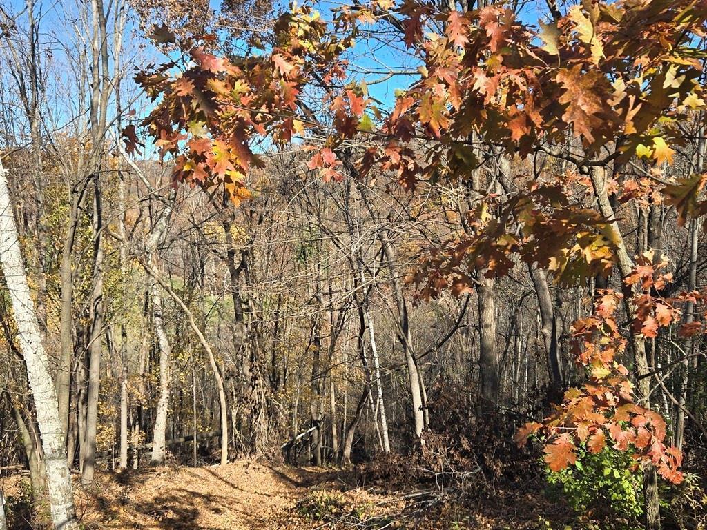 0 County Road KK Modena WI 54610 6814849 image18