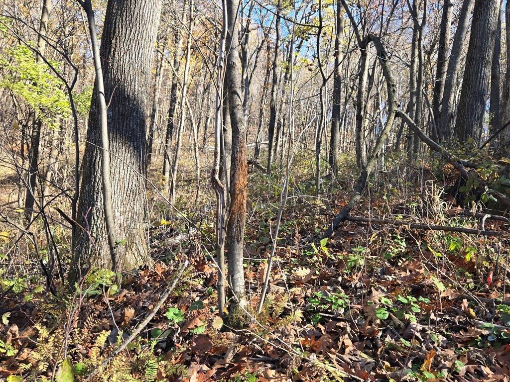 0 County Road KK Modena WI 54610 6814849 image20