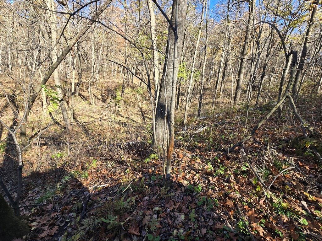 0 County Road KK Modena WI 54610 6814849 image21