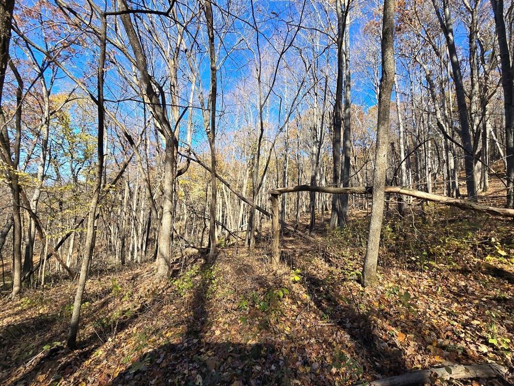 0 County Road KK Modena WI 54610 6814849 image22