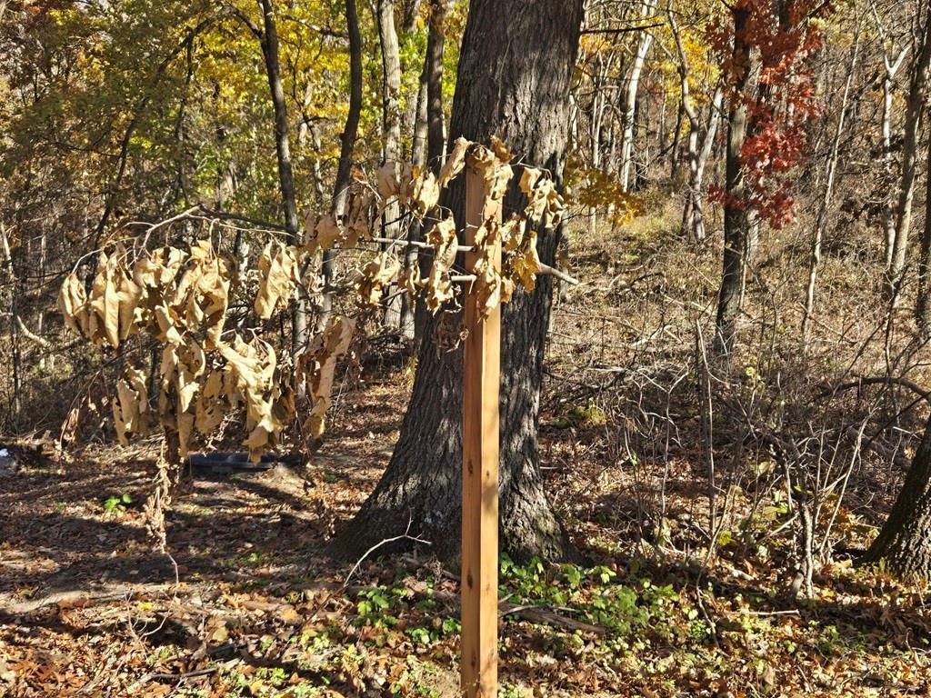 0 County Road KK Modena WI 54610 6814849 image24