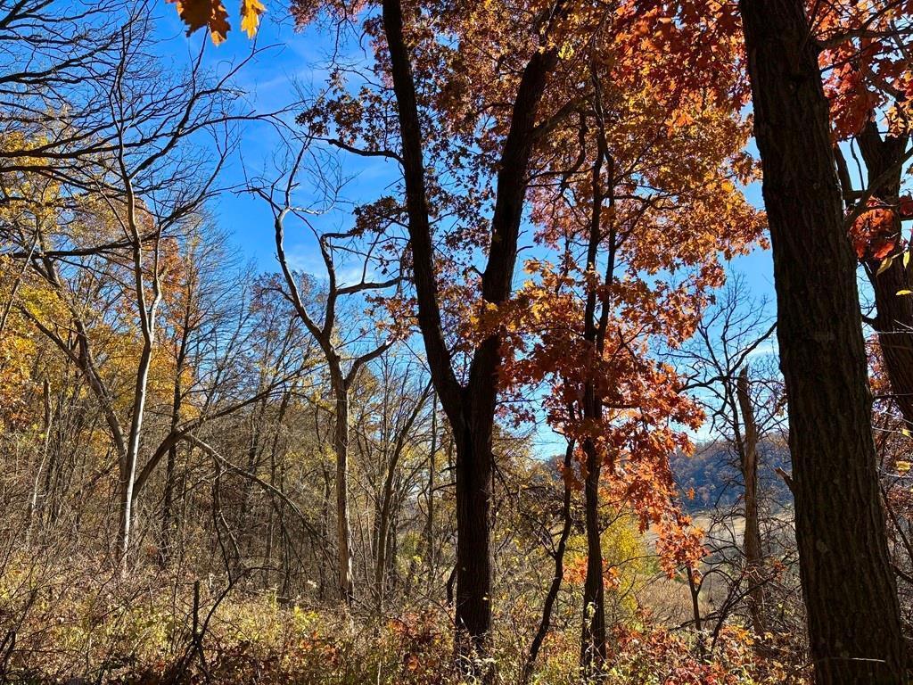 0 County Road KK Modena WI 54610 6814849 image26