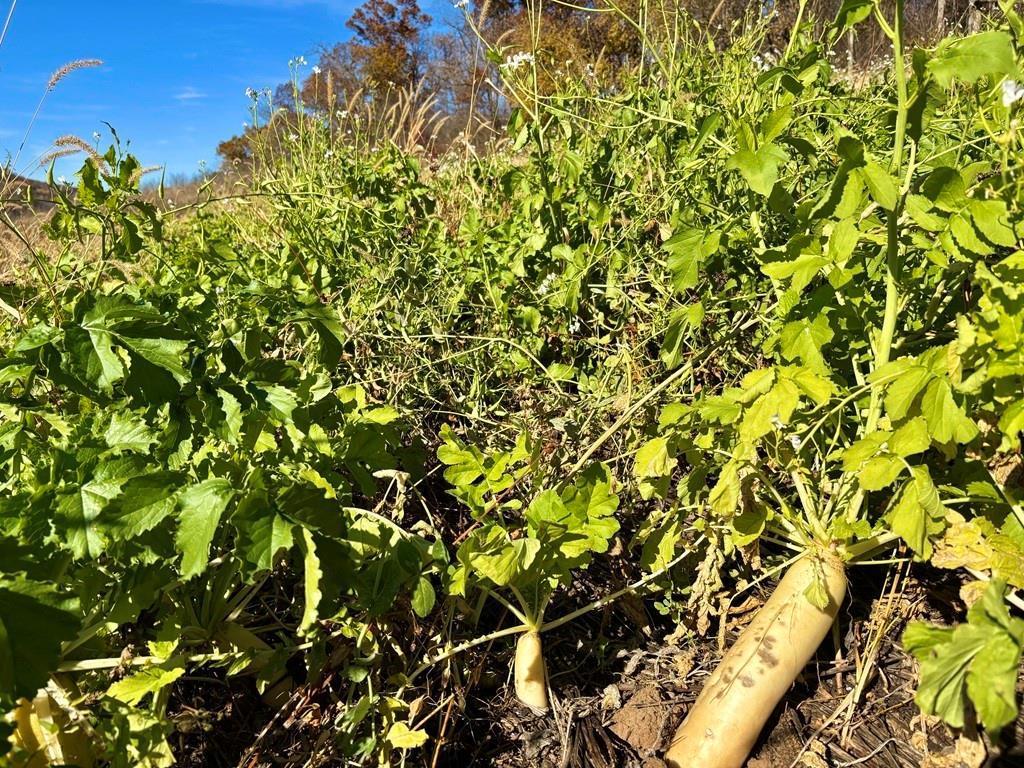 0 County Road KK Modena WI 54610 6814849 image28