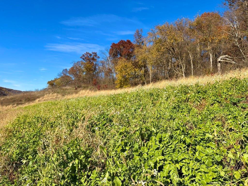 0 County Road KK Modena WI 54610 6814849 image29