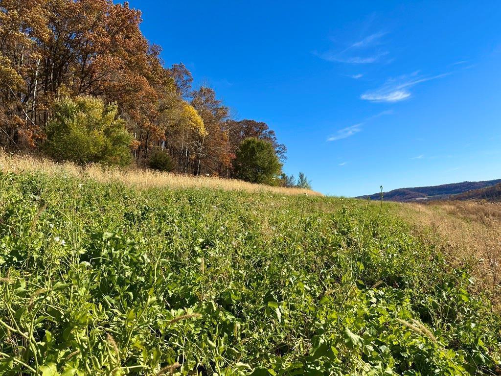 0 County Road KK Modena WI 54610 6814849 image30