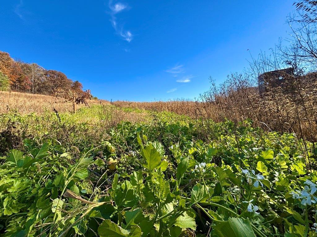 0 County Road KK Modena WI 54610 6814849 image32