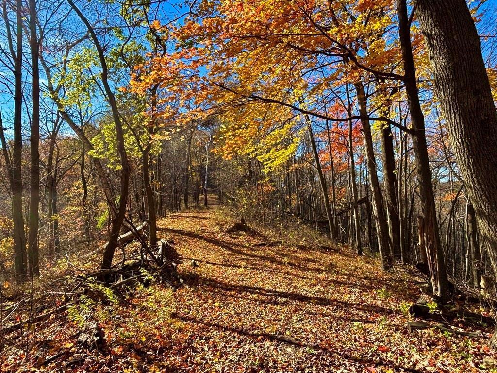 0 County Road KK Modena WI 54610 6814849 image33