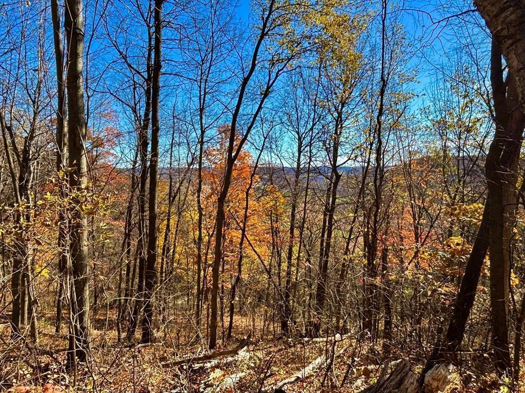 0 County Road KK Modena WI 54610 6814849 image34