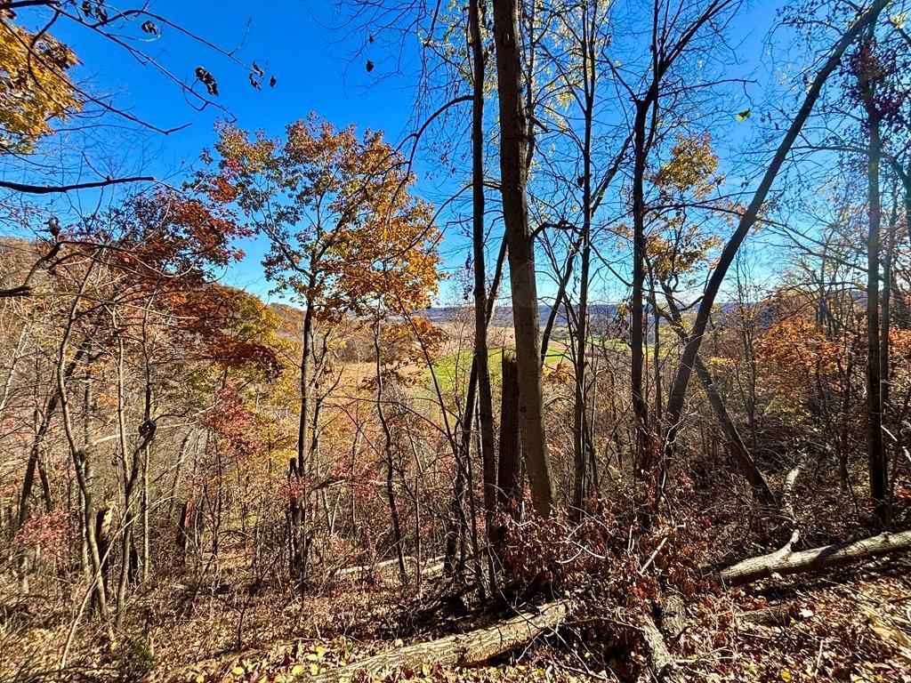 0 County Road KK Modena WI 54610 6814849 image35