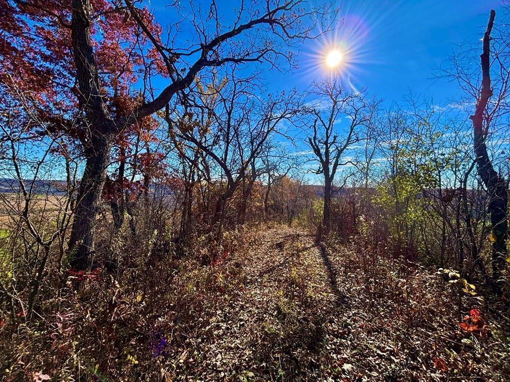 0 County Road KK Modena WI 54610 6814849 image36