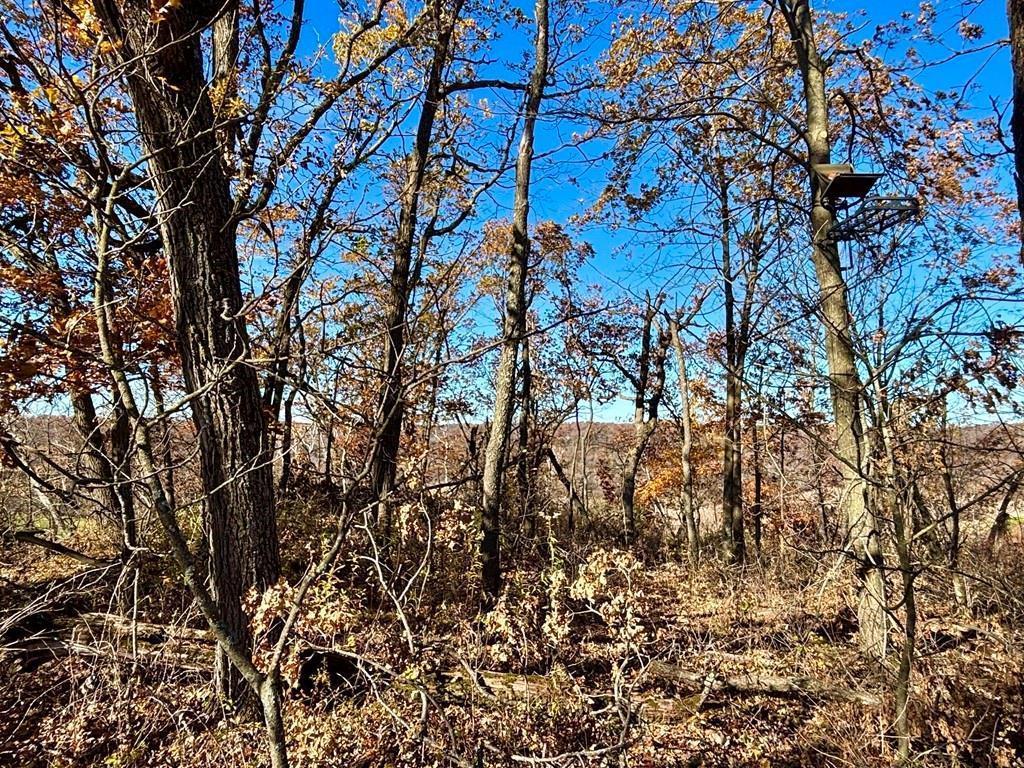 0 County Road KK Modena WI 54610 6814849 image38