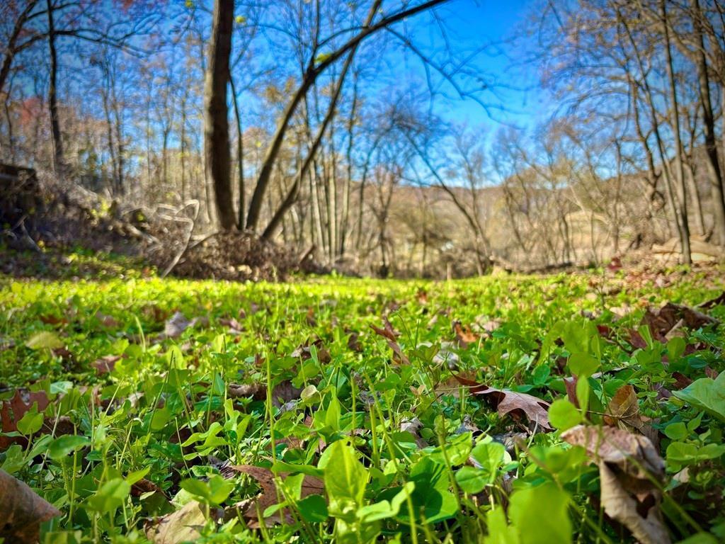 0 County Road KK Modena WI 54610 6814849 image39