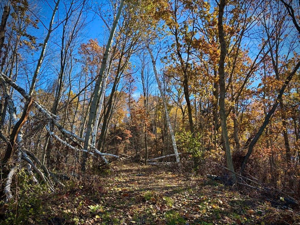 0 County Road KK Modena WI 54610 6814849 image40