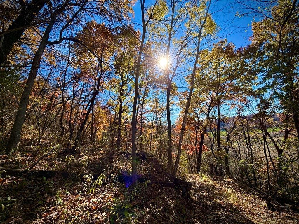 0 County Road KK Modena WI 54610 6814849 image42