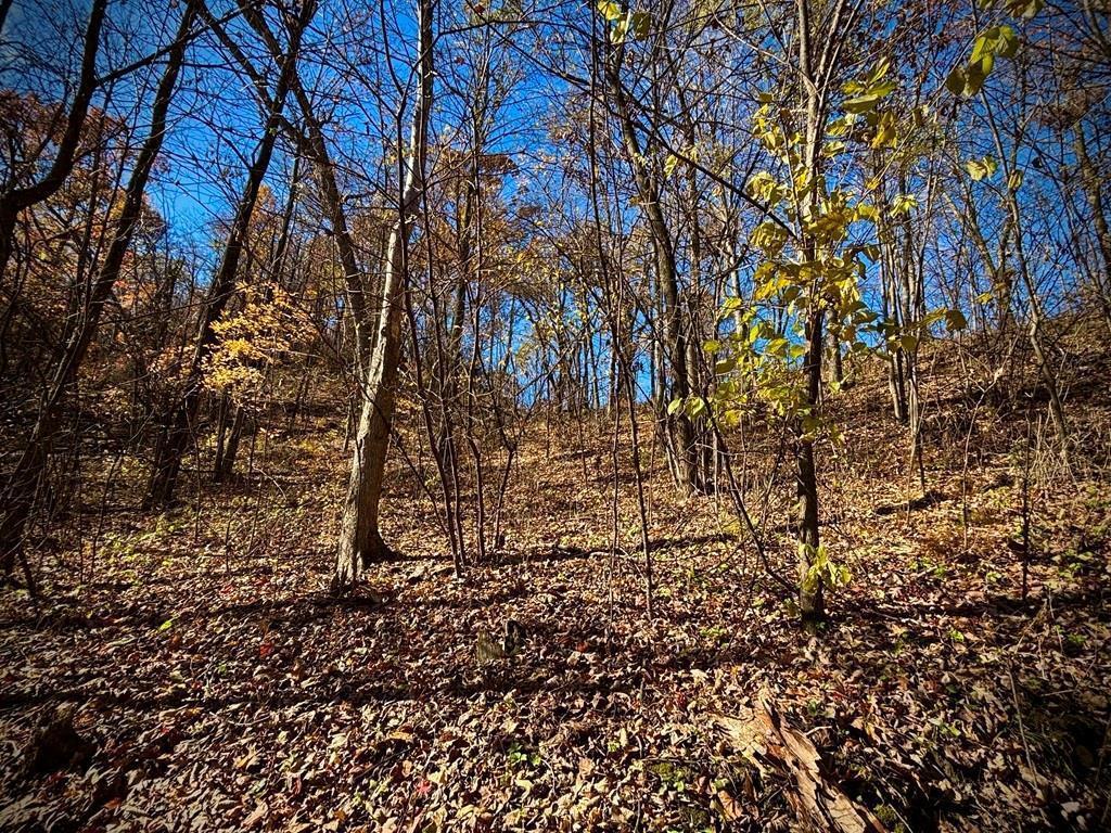 0 County Road KK Modena WI 54610 6814849 image48