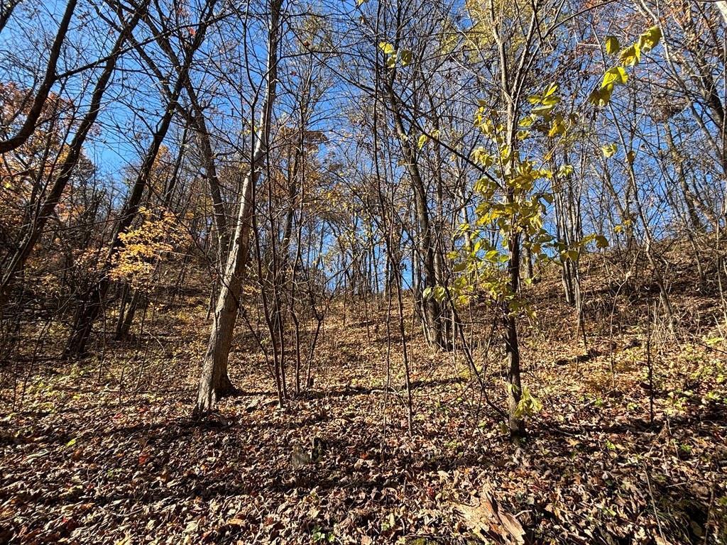 0 County Road KK Modena WI 54610 6814849 image50