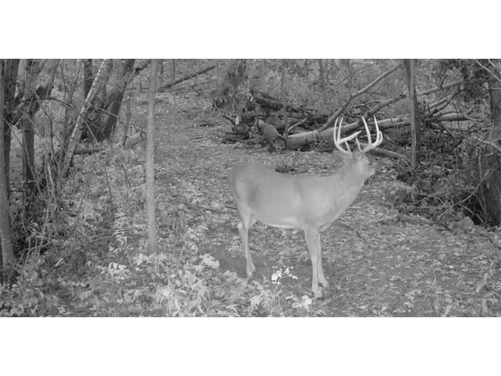 0 County Road KK Modena WI 54610 6814849 image52