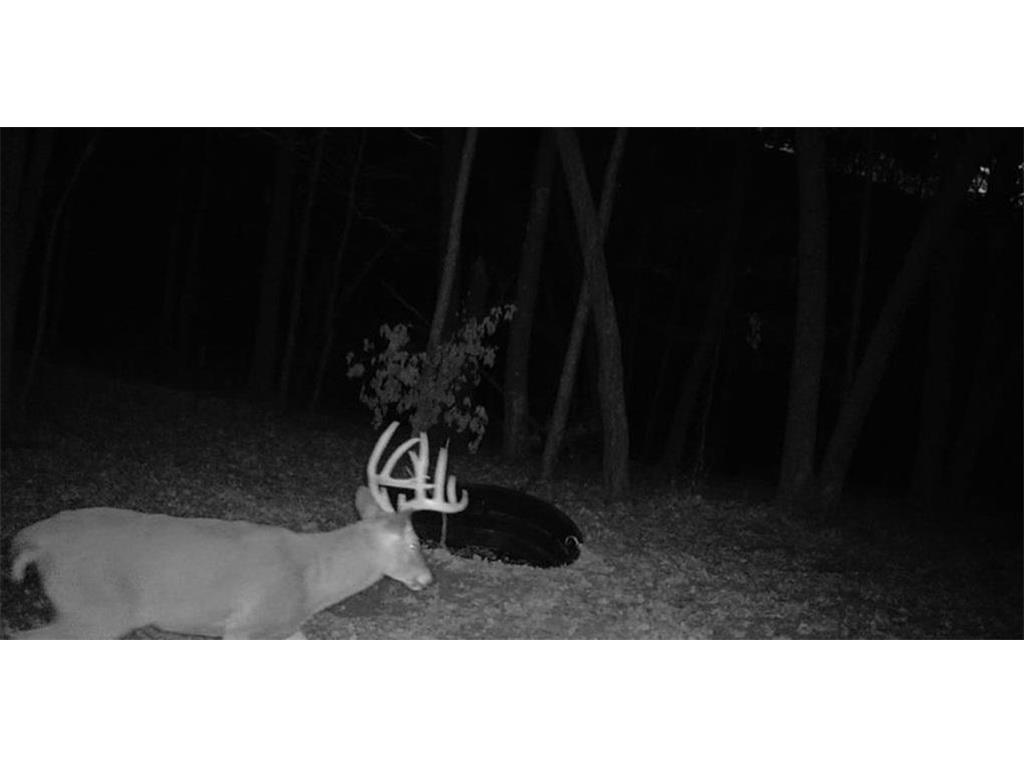 0 County Road KK Modena WI 54610 6814849 image53