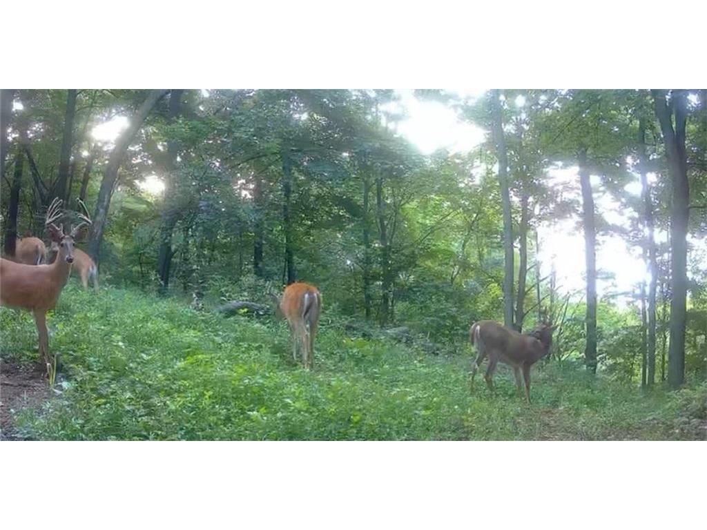 0 County Road KK Modena WI 54610 6814849 image55