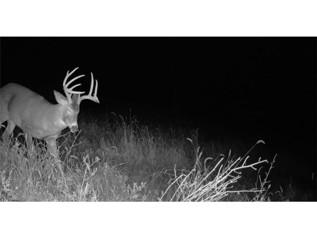 0 County Road KK Modena WI 54610 6814849 image56