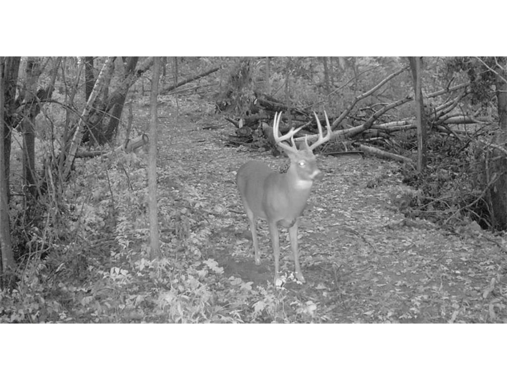 0 County Road KK Modena WI 54610 6814849 image57