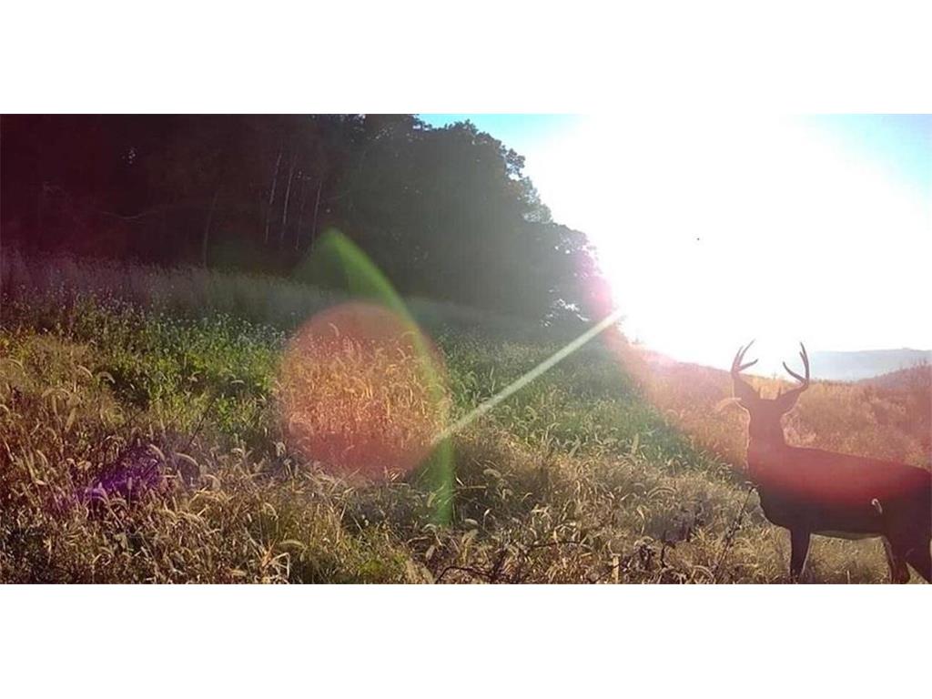 0 County Road KK Modena WI 54610 6814849 image58