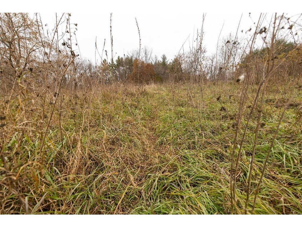 0 County Road O Hale Twp WI 54758 - Elk Creek 6818222 image22