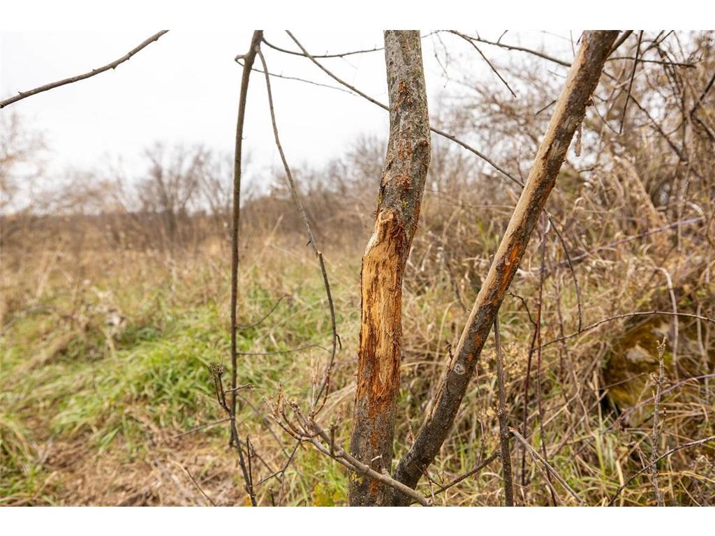 0 County Road O Hale Twp WI 54758 - Elk Creek 6818222 image26