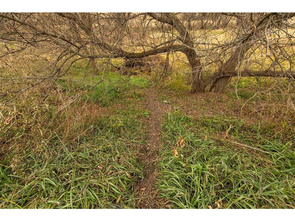 0 County Road O Hale Twp WI 54758 - Elk Creek 6818222 image29