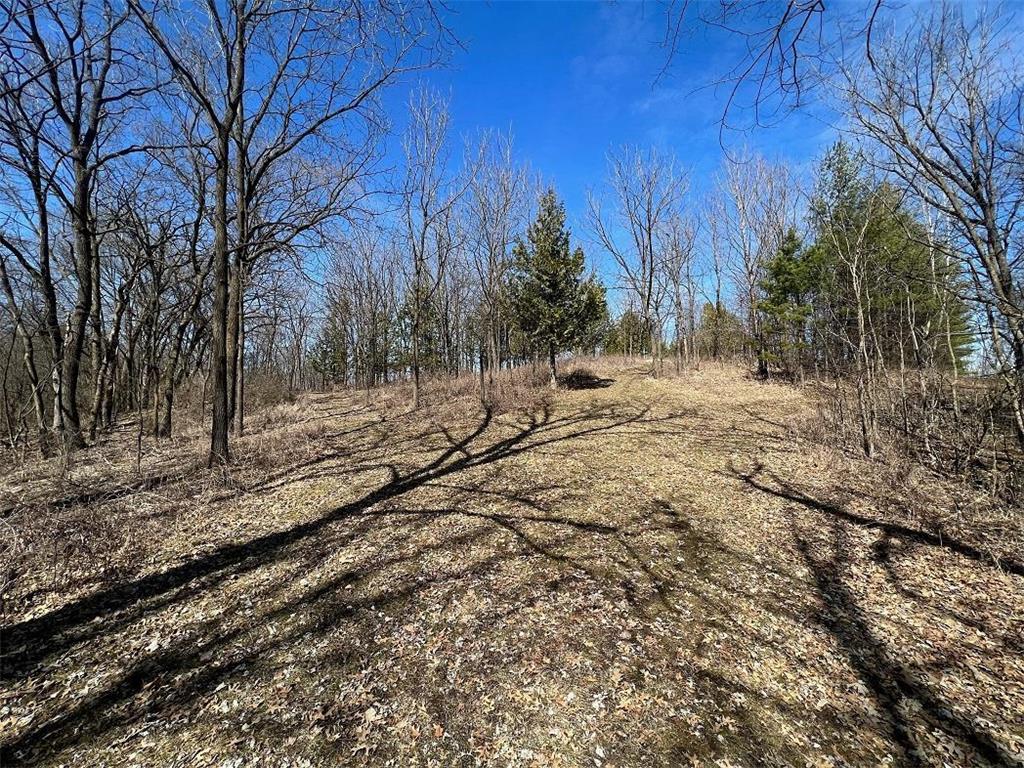 0 County Road TT Mondovi WI 54755 6817511 image10
