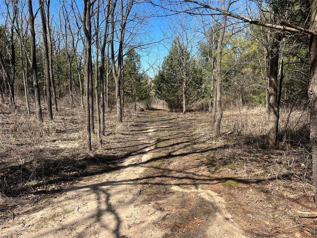 0 County Road TT Mondovi WI 54755 6817511 image13