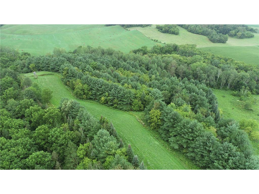 0 County Road TT Mondovi WI 54755 6817511 image14