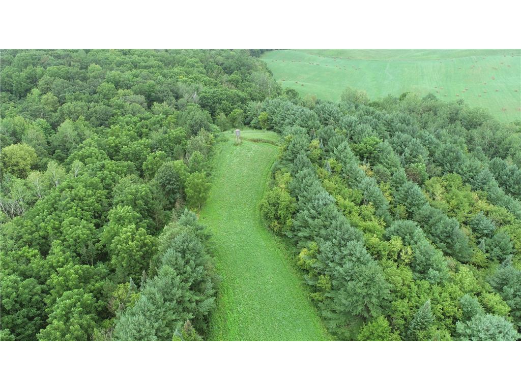 0 County Road TT Mondovi WI 54755 6817511 image17