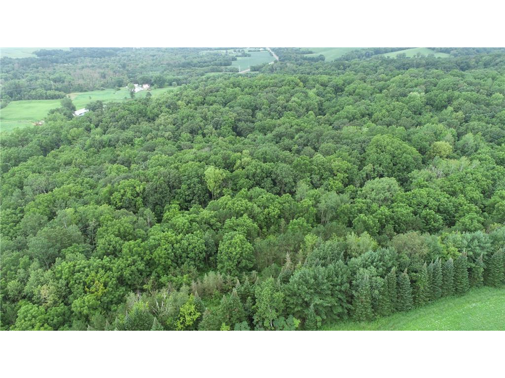 0 County Road TT Mondovi WI 54755 6817511 image19