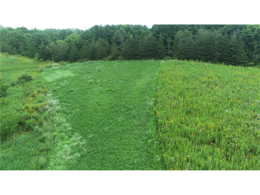 0 County Road TT Mondovi WI 54755 6817511 image25