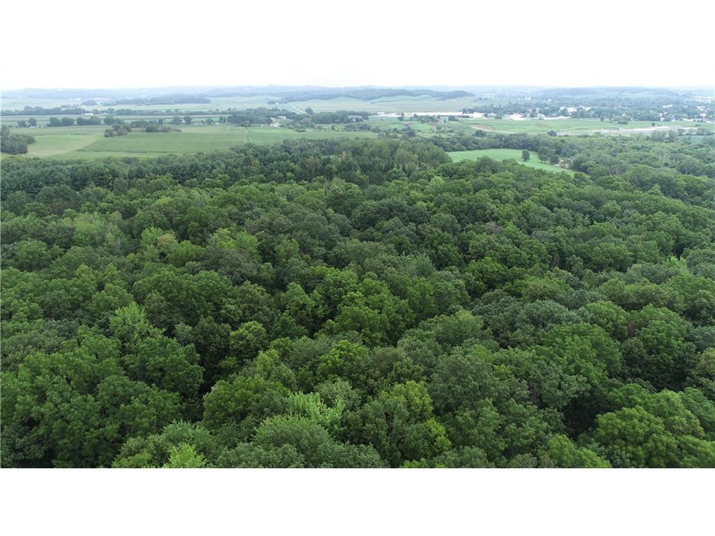 0 County Road TT Mondovi WI 54755 6817511 image28