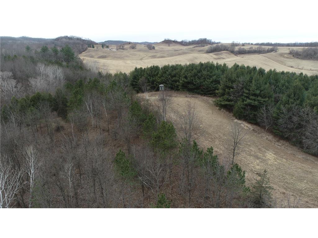 0 County Road TT Mondovi WI 54755 6817511 image3