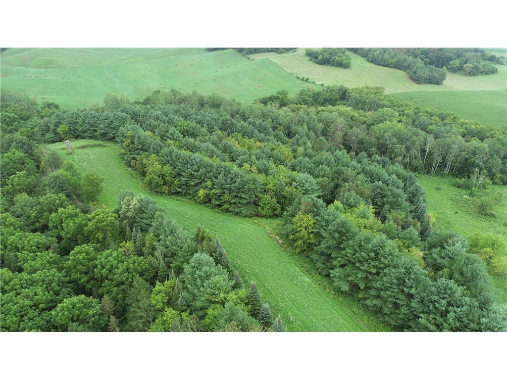 0 County Road TT Mondovi WI 54755 6817511 image31