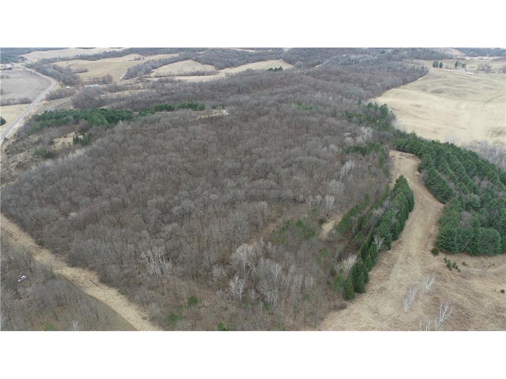 0 County Road TT Mondovi WI 54755 6817511 image32