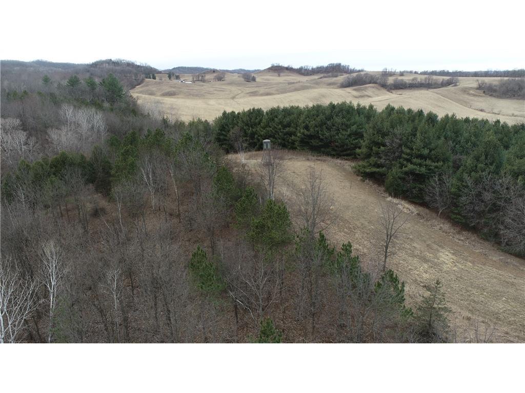 0 County Road TT Mondovi WI 54755 6817511 image35