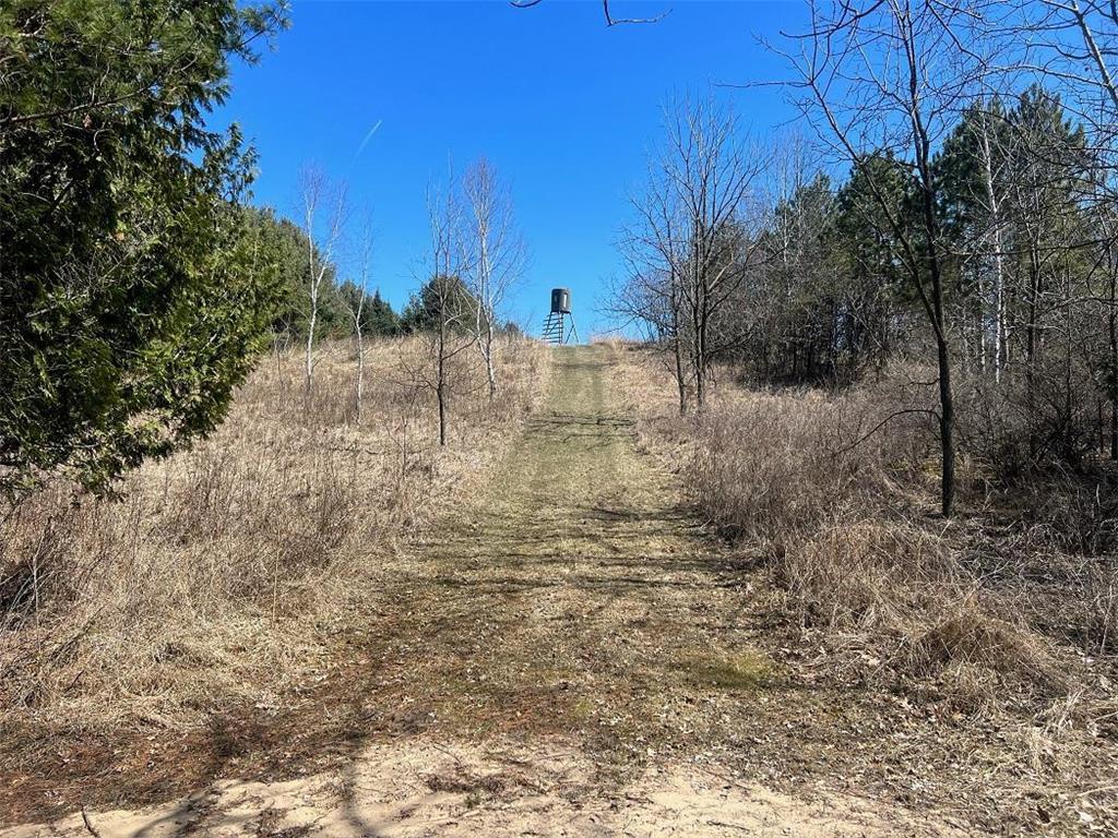 0 County Road TT Mondovi WI 54755 6817511 image7