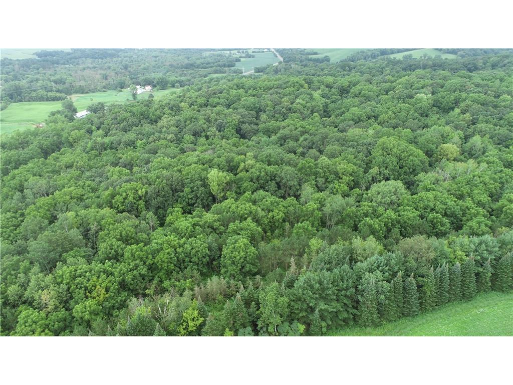 0 County Road TT Mondovi WI 54755 7027397 image16