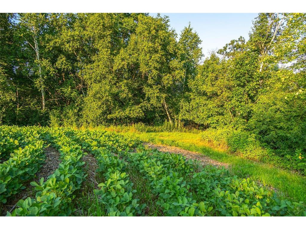 0 Cty S Road Preston Twp WI 54616 7056745 image1